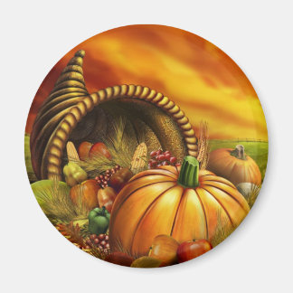 ÍMAN OBRIGAÇÃO 2009