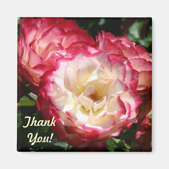 Íman Obrigado! ímãs presentes Flores Rosa Branca Rosa (Frente)