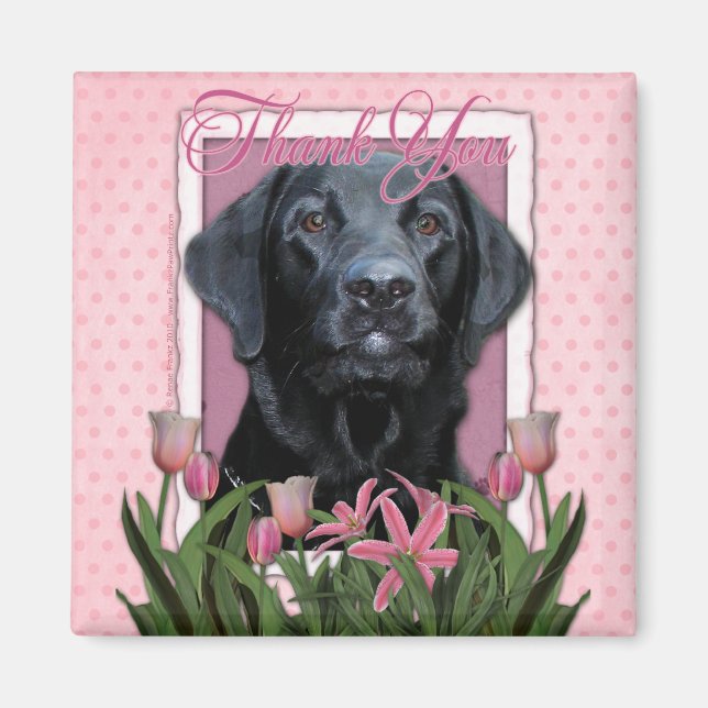 Íman Obrigado - Labrador - Preto - Gage (Frente)