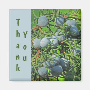 Íman Obrigado Primavera Pine Berries.