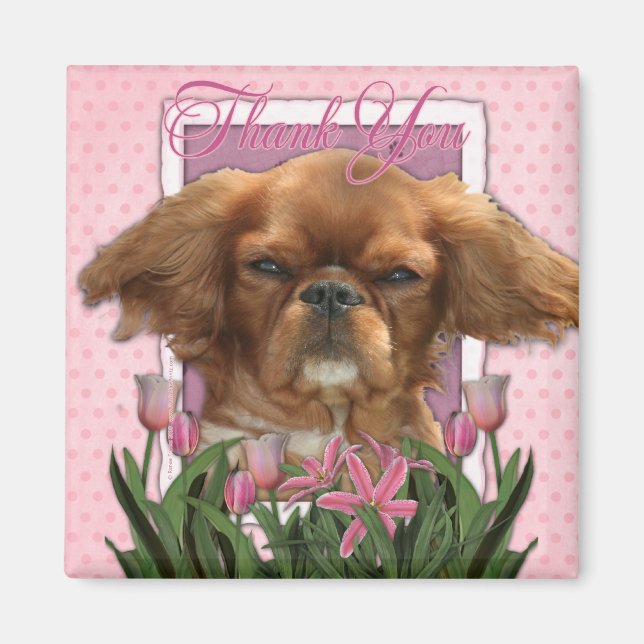 Íman Obrigado - Rei Charles Cavalier - Ruby (Frente)