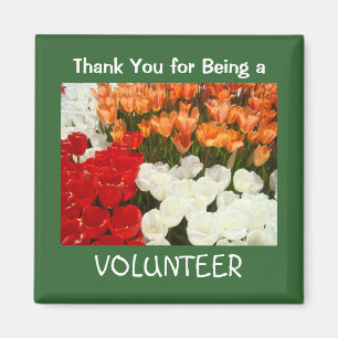Íman Obrigado sendo uma tulipa dos presentes do ímã d