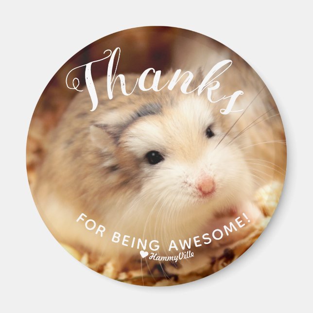 Íman Obrigados bonitos de Hamster para ser incrível (Frente)