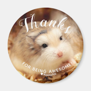 Íman Obrigados bonitos do hamster para ser