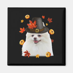Íman Obrigados Felizes do Cachorro Pomeraniano Pilgrim