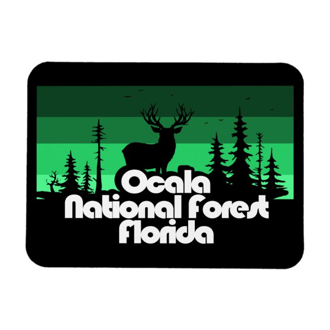 Íman Ocala National Forest Florida (Horizontal)