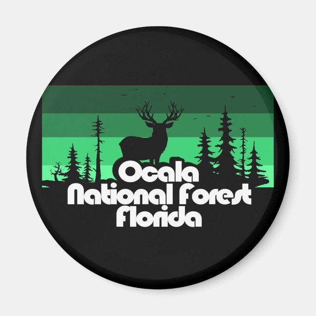 Íman Ocala National Forest Florida (Frente)