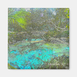 Íman Ocala National Forest Florida Magnet