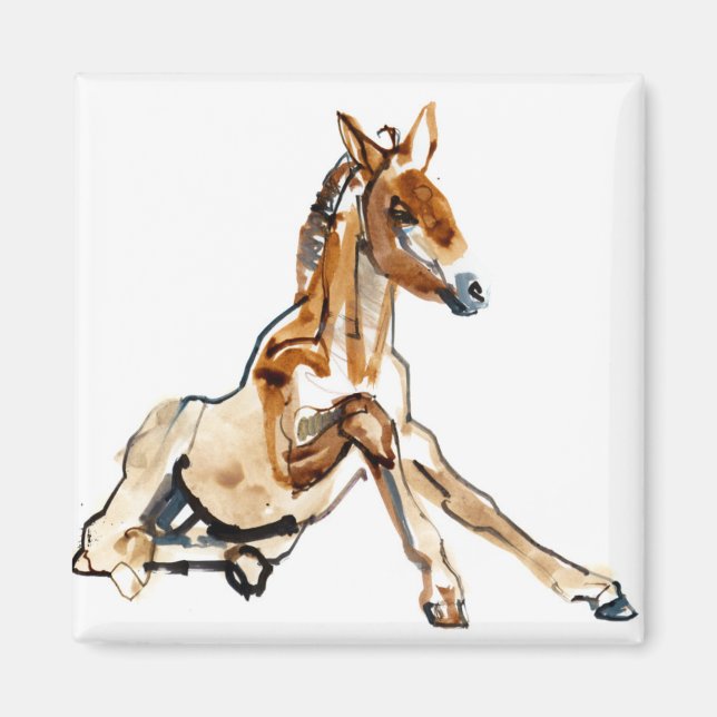 Íman Ochre Foal (Frente)