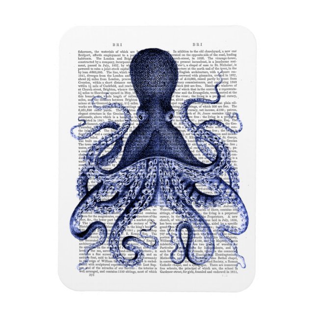 Íman Octopus azul (Vertical)