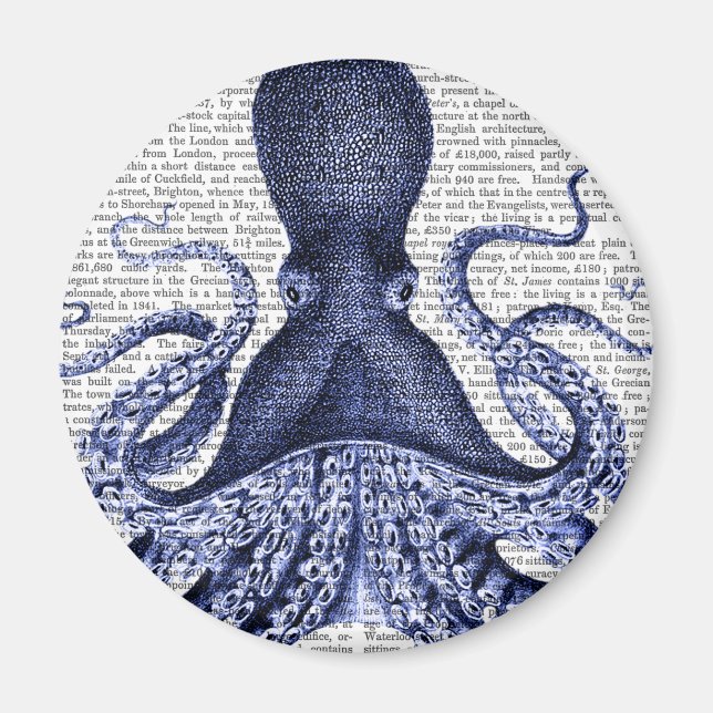 Íman Octopus azul (Frente)