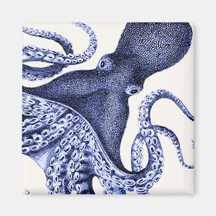 Íman Octopus Azul Paisagem