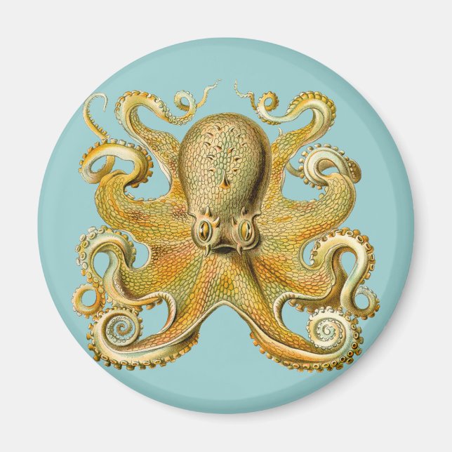 Íman Octopus de Ernst Haeckel (Frente)