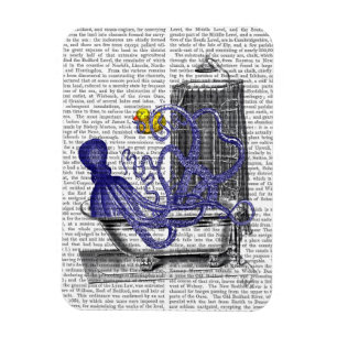 Íman Octopus em Bath 2