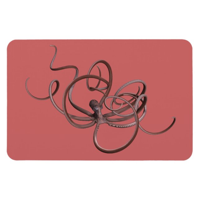 Íman Octopus gigante (Horizontal)