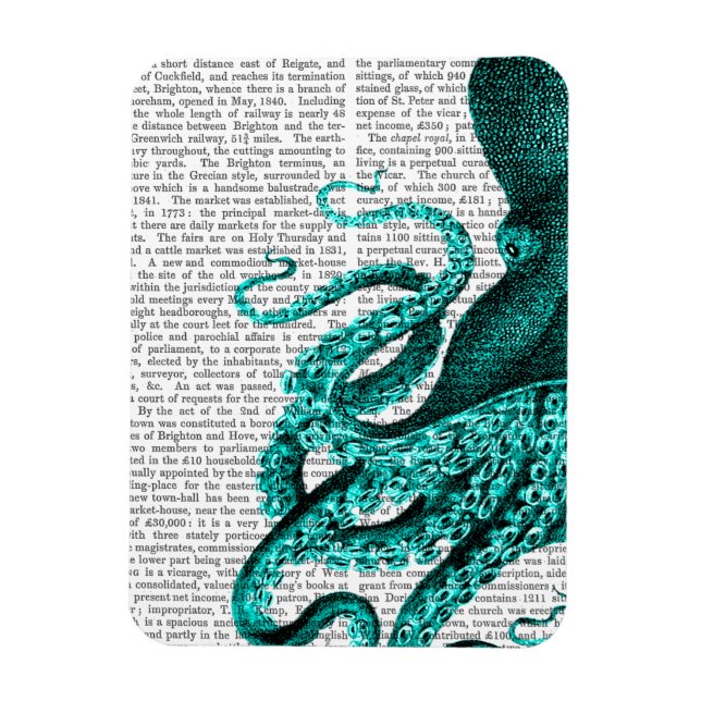 Íman Octopus Green Half (Vertical)