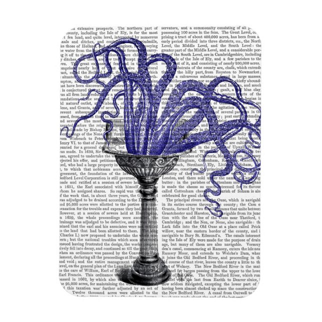 Íman Octopus no Sink (Vertical)