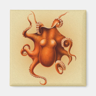 Íman Octopus Red Cephalopod Vintage Kraken