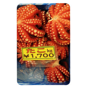 Íman Octopus Tako た こ Tsukiji Fish Market, Tóquio,