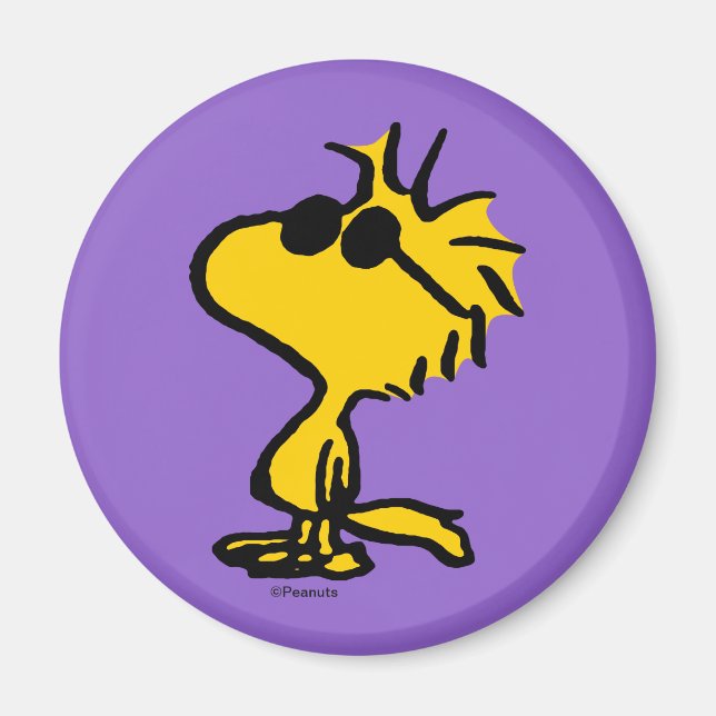 Íman Óculos de sol Legal de madeira (Frente)