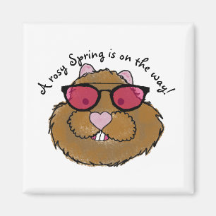 Íman Óculos Rosy Otimista Groundhog