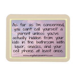 Íman Ocultar O Magnete Do Banheiro