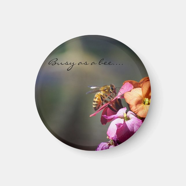 Íman Ocupado como recompensa de Abelhas... (Frente)