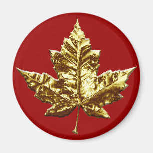 Íman Oferta de Folha de Folha de Imã de geladeira Doura