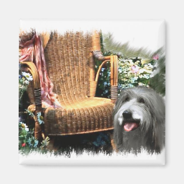 Íman Ofertas de Arte Collie (Frente)