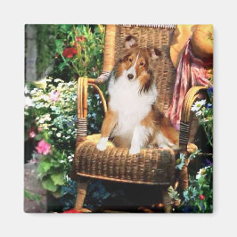 Íman Ofertas de arte Shetland Sheepdog