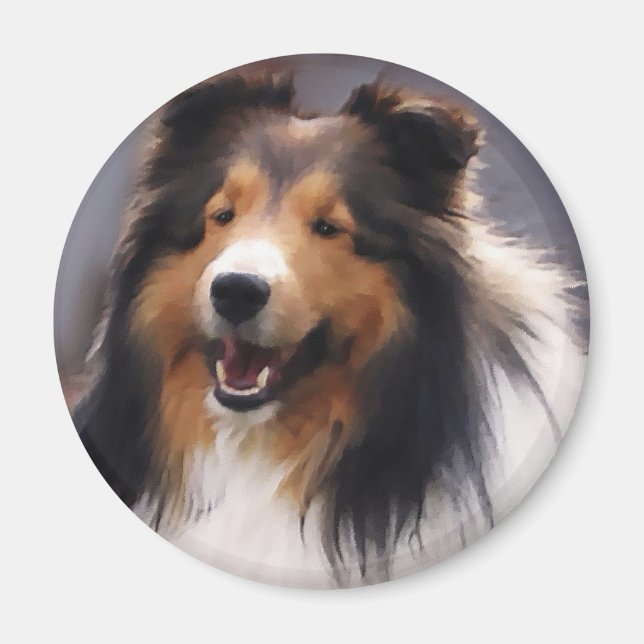 Íman Ofertas de arte Shetland Sheepdog (Frente)