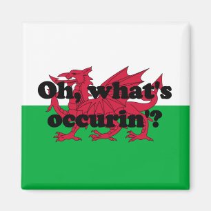 Íman "Oh, que é occurin"? '