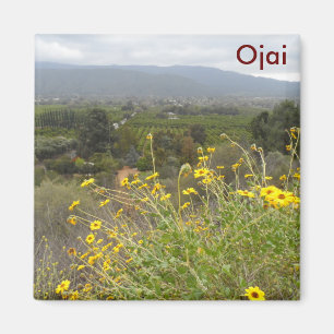 Íman Ojai Valley, Califórnia