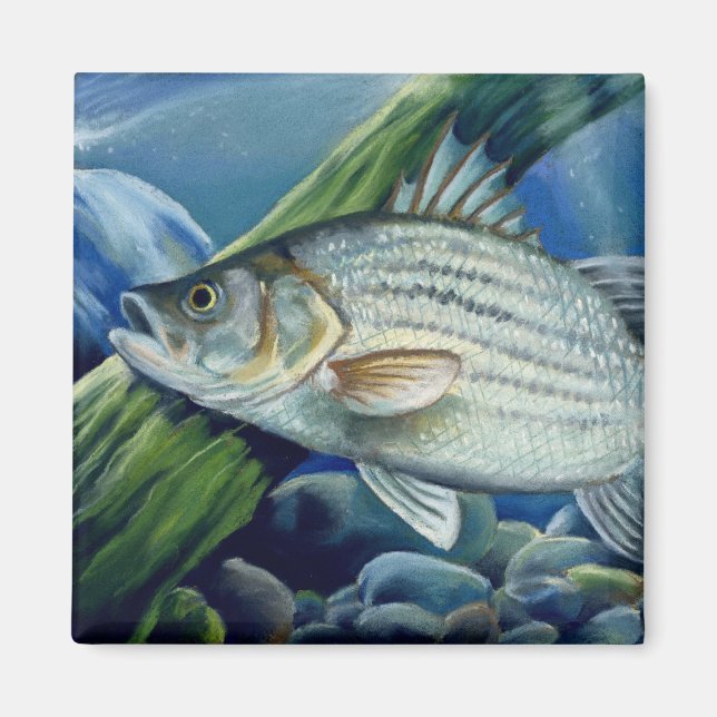 Íman OK 2008 Bowles 1036 alto (Frente)