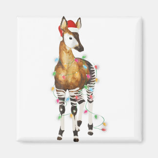 Íman Okapi ilumina santa que alegre Natal