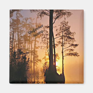 Íman Okefenokee Swamp