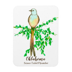 Íman Oklahoma Scissor o pássaro atado do coletor da