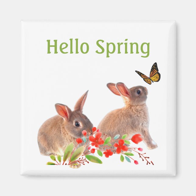 Íman Olá Coelho da Primavera e Borboleta (Frente)
