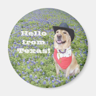 Íman Olá! de Texas!