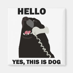 Íman OLÁ! SIM ESTE É telefone do telefone do CÃO