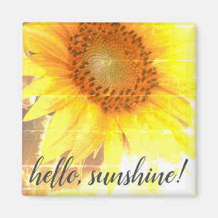 Íman "Olá, Sunshine!" Magneta de girassol desbotada