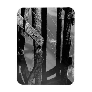 Íman Old Wharf Pier Barnacle Beams Pilings Photo