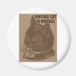 Íman Olde LOLcat