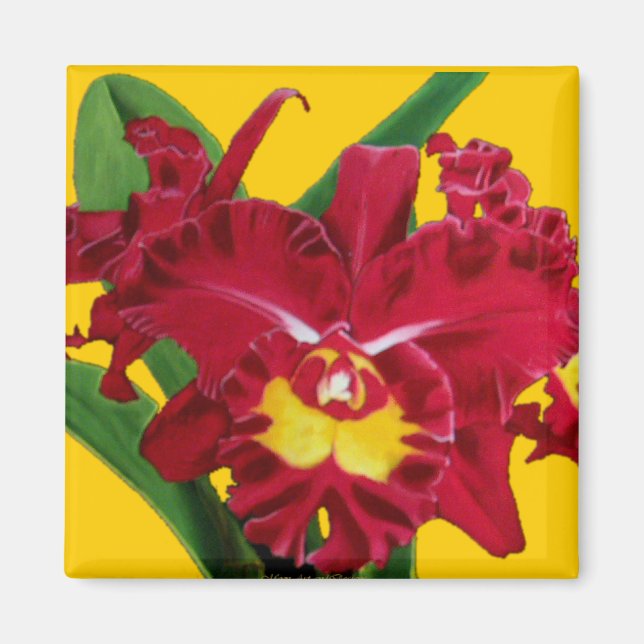 Íman Óleo de Orquídea em Magnetos de Canvas (Frente)