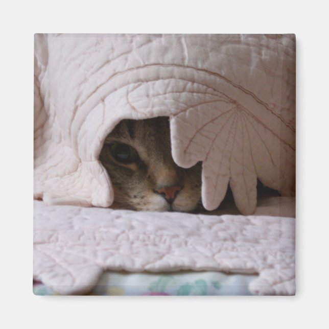 Íman Olhando o ímã do Tom (Frente)