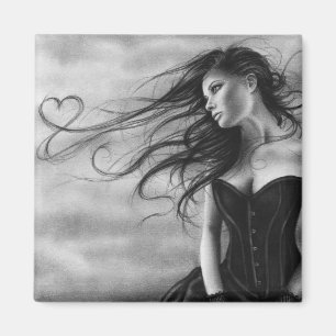 Íman Olhando o voar o ímã