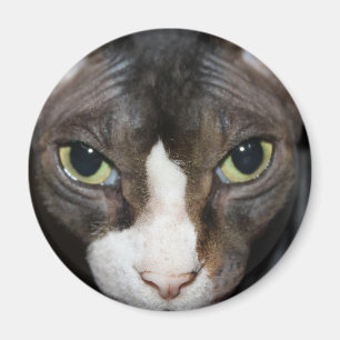 Íman Olhando para você