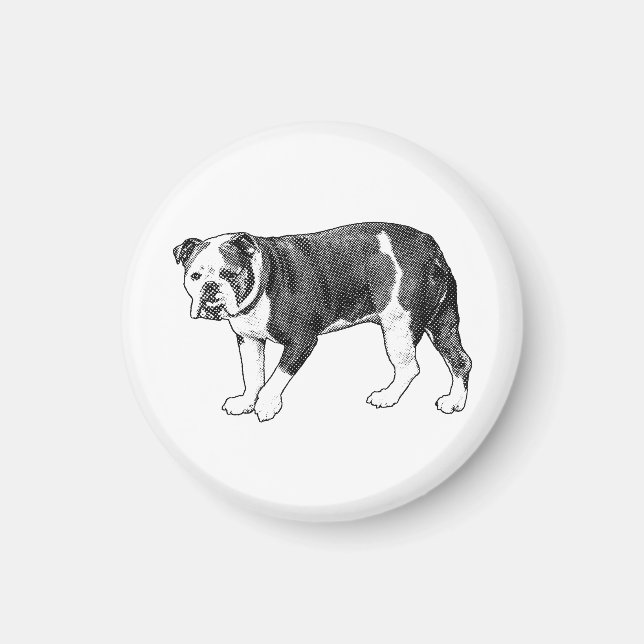 Íman Olhar de Bulldog, Ímã de Pontos de Mangá (Frente)