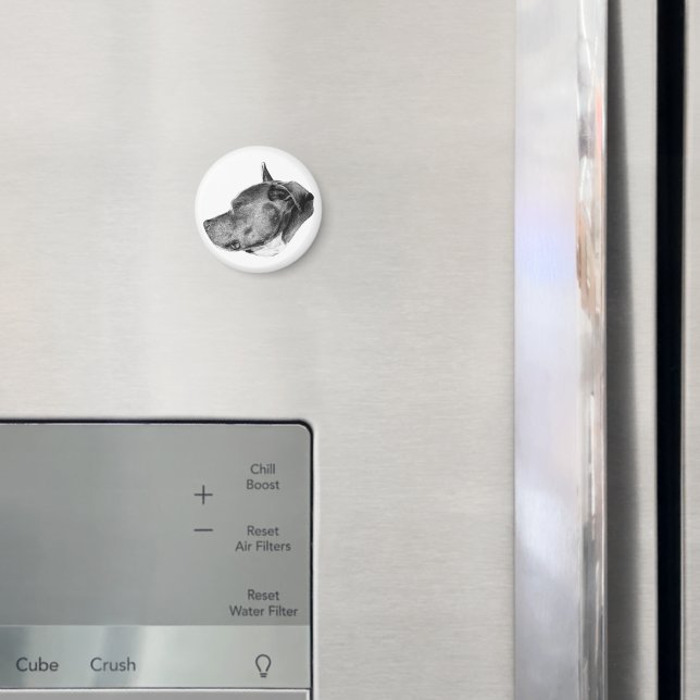 Íman olhar de companheiro leal (In Situ (Fridge))