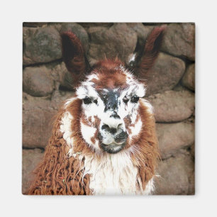 Íman olhar de lama